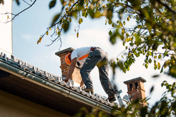 Best Roof Gutter Cleaning  in Corydon, IN