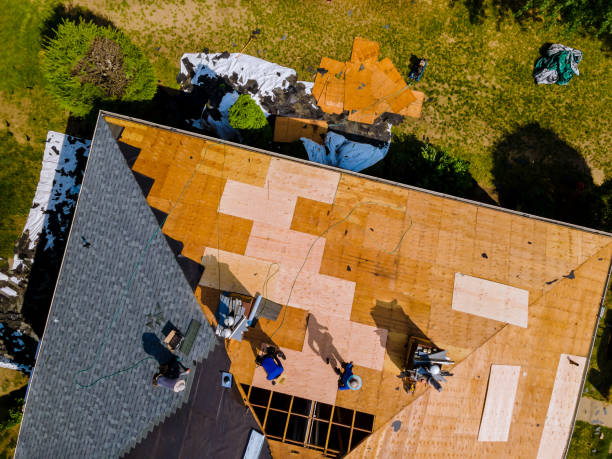 Best Commercial Roofing Services  in Corydon, IN
